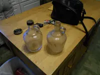 todays find 11613 005.webp