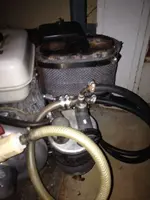 image-3419879304.webp