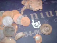 HPIM1898.webp
