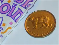 mccoinbig.webp