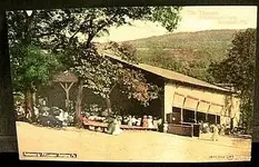 1908.webp