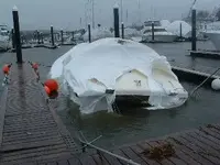 viking salvage1.webp