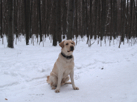 foto2.4.2.gif