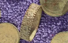 WG Ring 2.webp