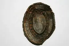 brooch.webp
