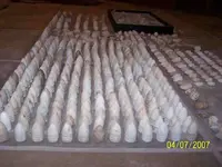 new_camp 54 bullets 004.webp