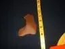 b5b6_0[2].webp