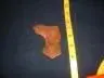 b76d_0[1].webp