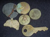 evening finds.webp