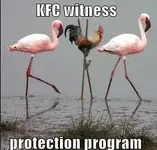 KFCwitnessprotection.webp