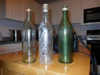todays find 11613 009.webp