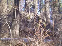 IMG_20131206_120151.webp