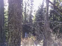 IMG_20131206_121345.webp
