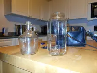 todays find 11613 012.webp