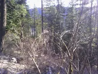 IMG_20131206_121403.webp