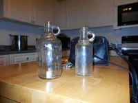 todays find 11613 013.webp