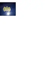 back.webp