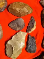 image-1653335245.webp