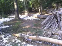 IMG_20131206_130033.webp