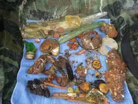20131031_124322.webp