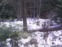 IMG_20131206_130136.webp