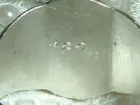 DSCF2622.webp