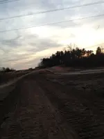 image-3676795168.webp