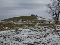 mound 001.webp