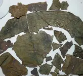 20131125_210758-1-1.webp