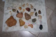 100_4517.webp