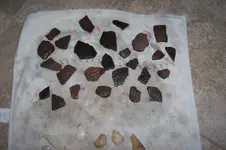 100_4518.webp