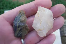 100_4525.webp