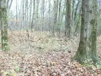 100_2840.webp