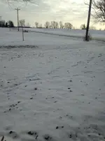 image-3013096405.webp