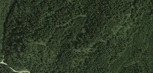 Screen shot 2013-12-01 at 4.39.25 PM.webp