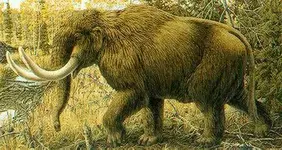 mammut.webp