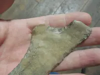 DSCN3558.webp