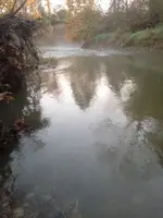 image-3781574460.webp