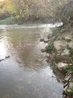 image-3471961436.webp