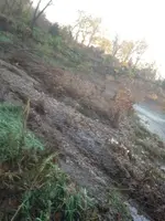 image-3294748056.webp