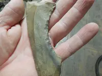 DSCN3557.webp