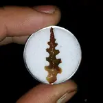 121546d1356720954-serrations-lets-see-them-20120318_203236-1.webp