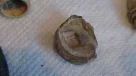part of a fuse.webp
