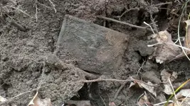 todds plate.webp
