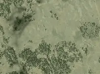 Expandedscreenshot.webp