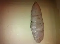 image-3749144335.webp