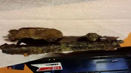 20131106_205616.webp