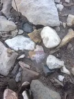 image-1914997487.webp