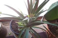 100_0598.webp