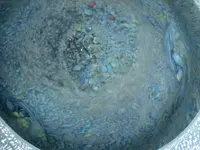 dish4.webp
